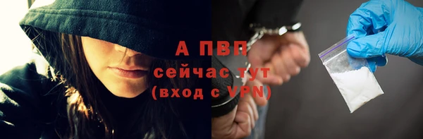 трава Арсеньев