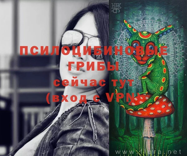 соль курить ск Ростов
