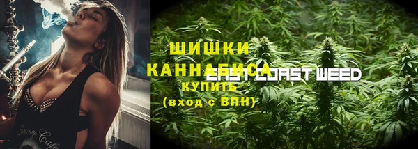 трава Арсеньев